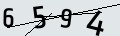 verifycode